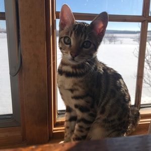 Meet your Posher, Alyssa